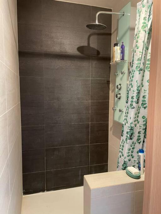 Appartement A 150M Du Lac- Plage De L'Imperial Annecy Ngoại thất bức ảnh